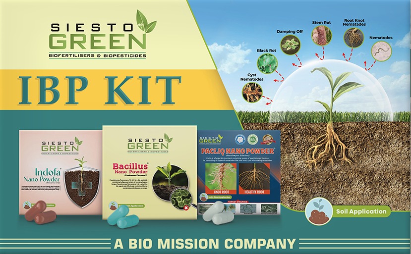 IBP Soil Treatment Kit